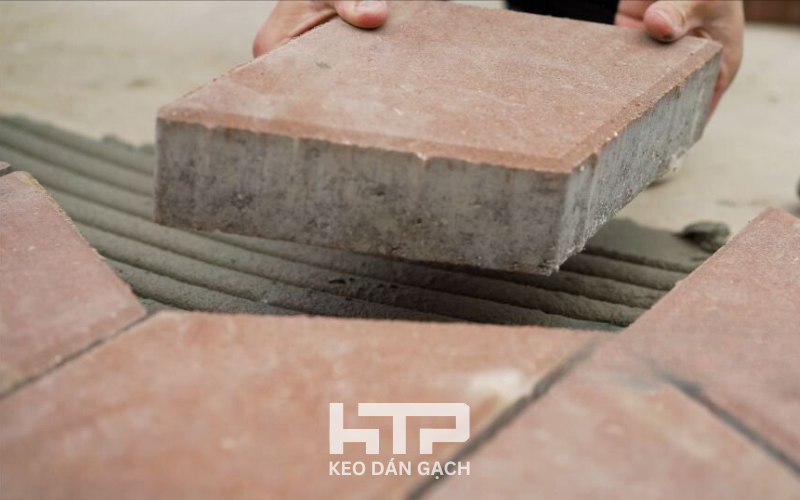 Keo dán gạch chịu lực