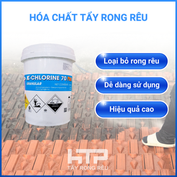 hoa-chat-tay-rong-reu (2)