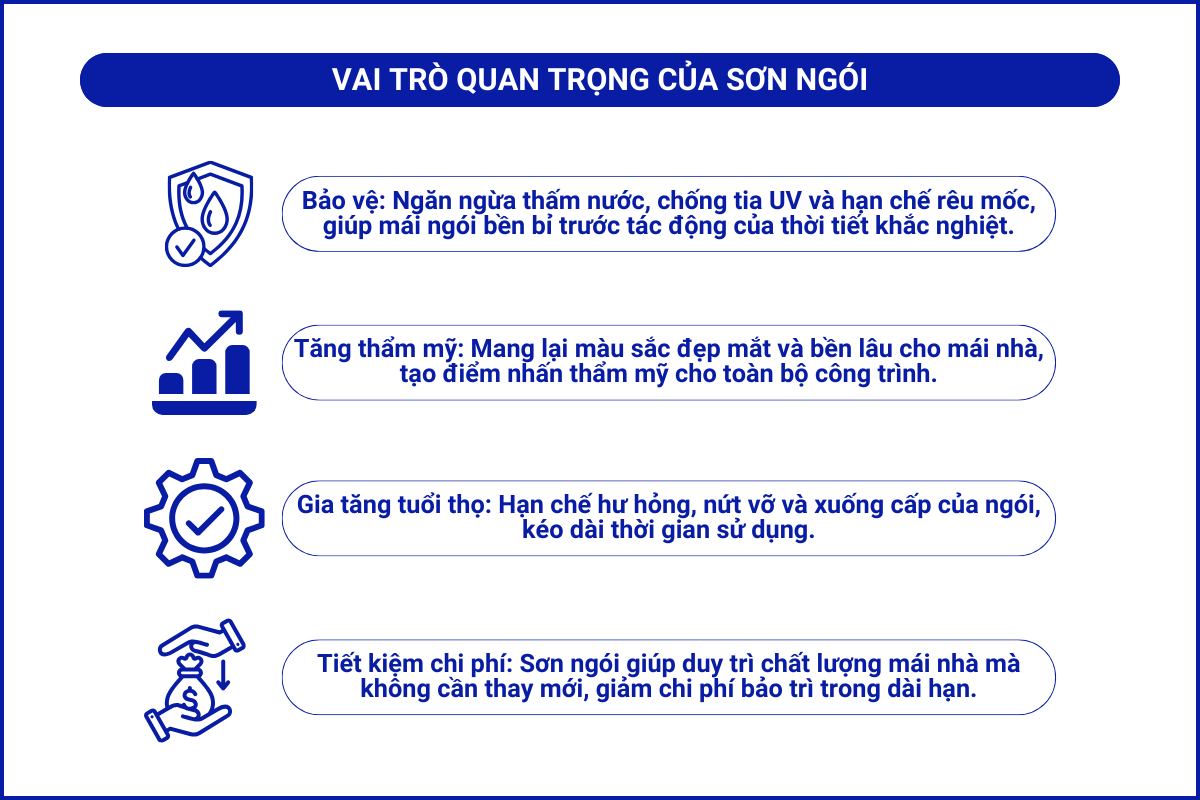 vai-tro-quan-trong-cua-son-ngoi