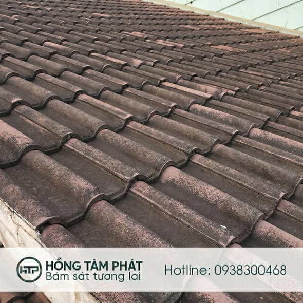 Hình ảnh mái ngói bị rêu mốc bám dày, bề mặt bạc màu và cũ kỹ do tác động của nắng mưa trong thời gian dài, làm giảm tính thẩm mỹ, ảnh hưởng đến độ bền và khả năng bảo vệ công trình của mái ngói.