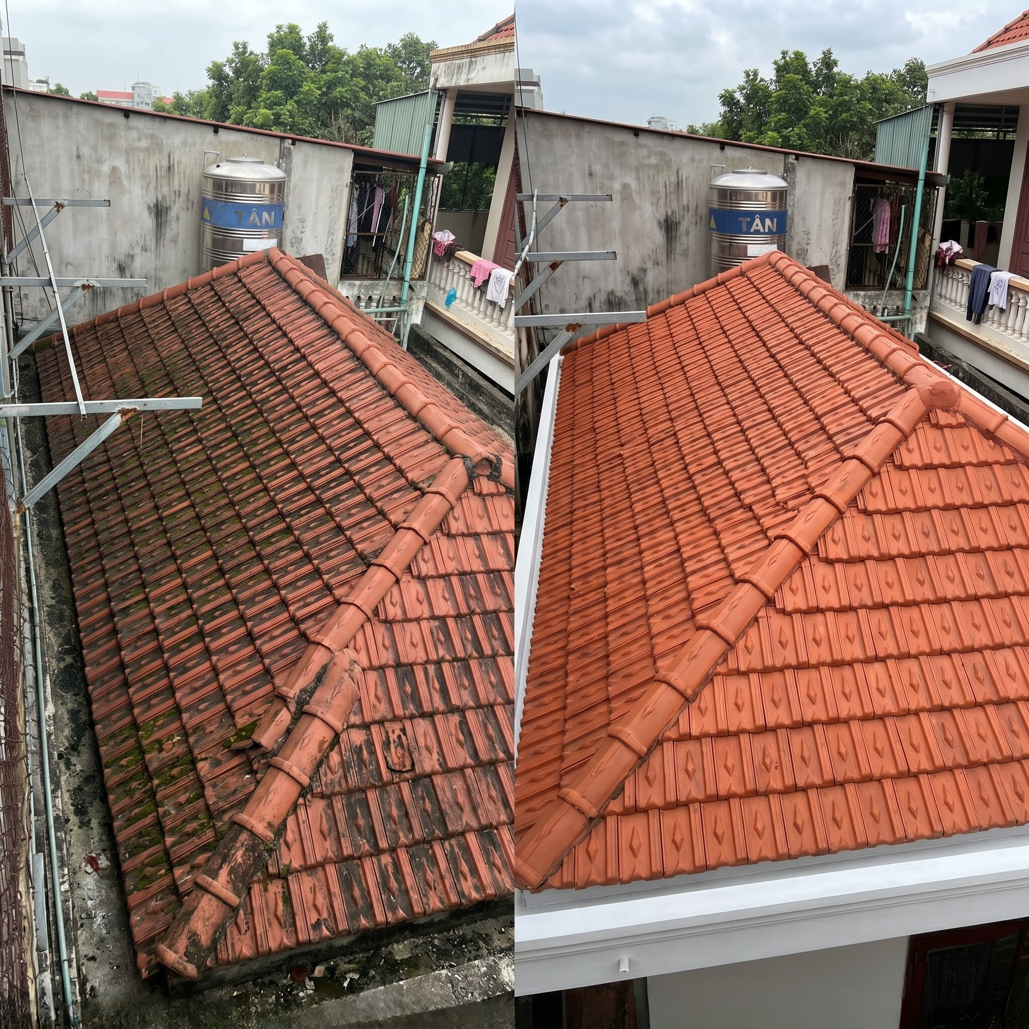 Hình ảnh thực tế quá trình vệ sinh mái ngói, loại bỏ rong rêu và khôi phục màu sắc mái nhà giúp tăng độ bền và tính thẩm mỹ cho công trình.