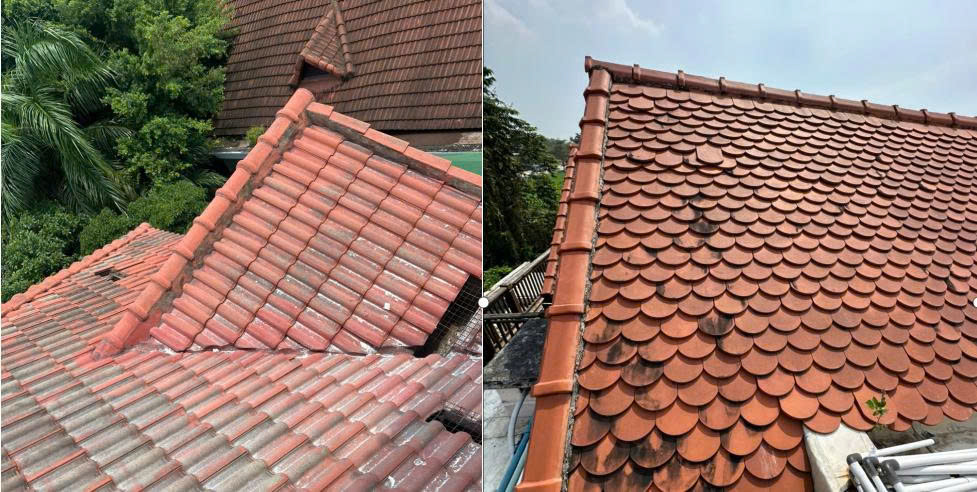 Hình chụp thực tế 10 vấn đề về mái ngói cũ bị xuống cấp.