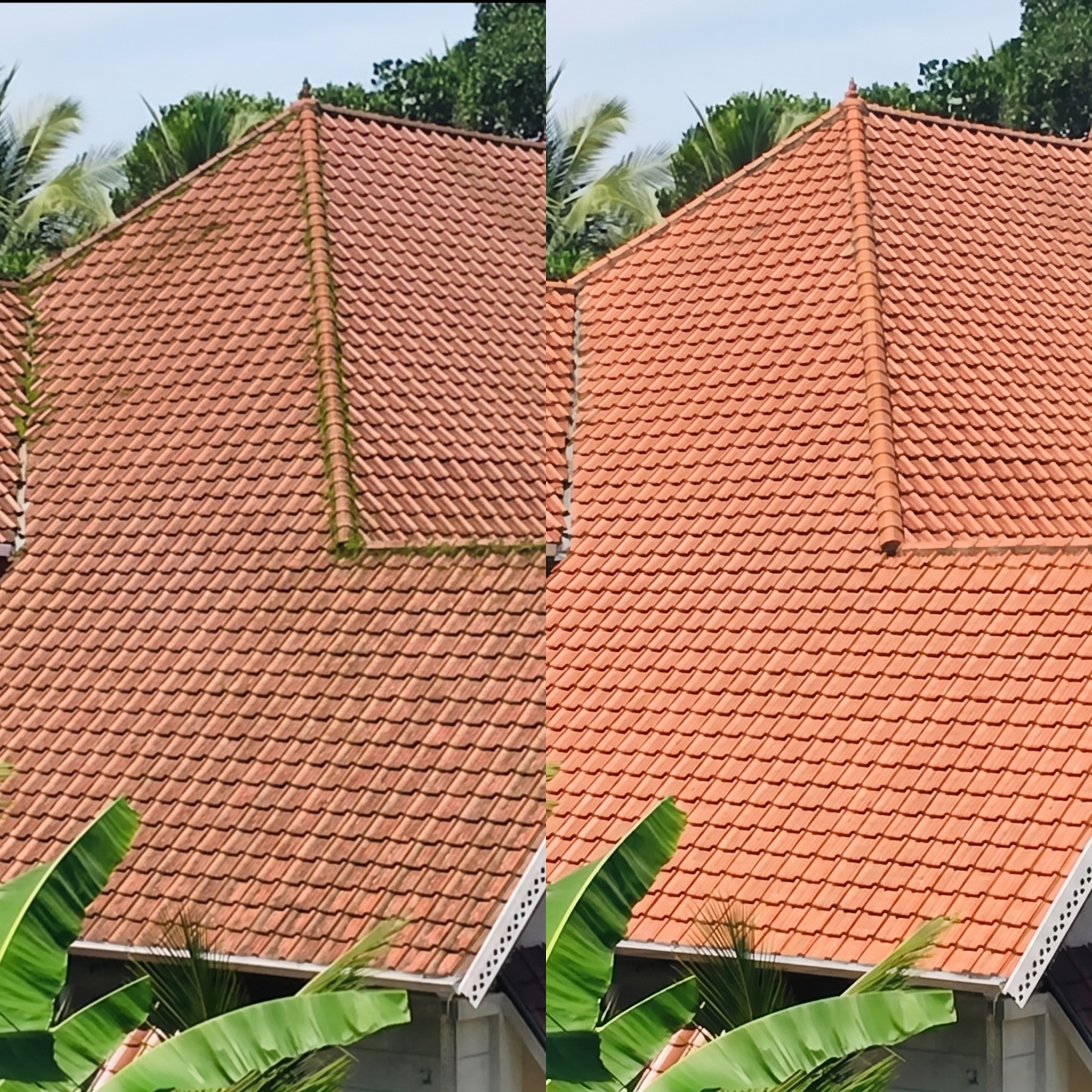 Hình ảnh so sánh thực tế mái ngói sau khi vệ sinh và sau khi sơn phục hồi, cho thấy sự khác biệt rõ rệt về màu sắc, độ sạch và tính thẩm mỹ của mái nhà.