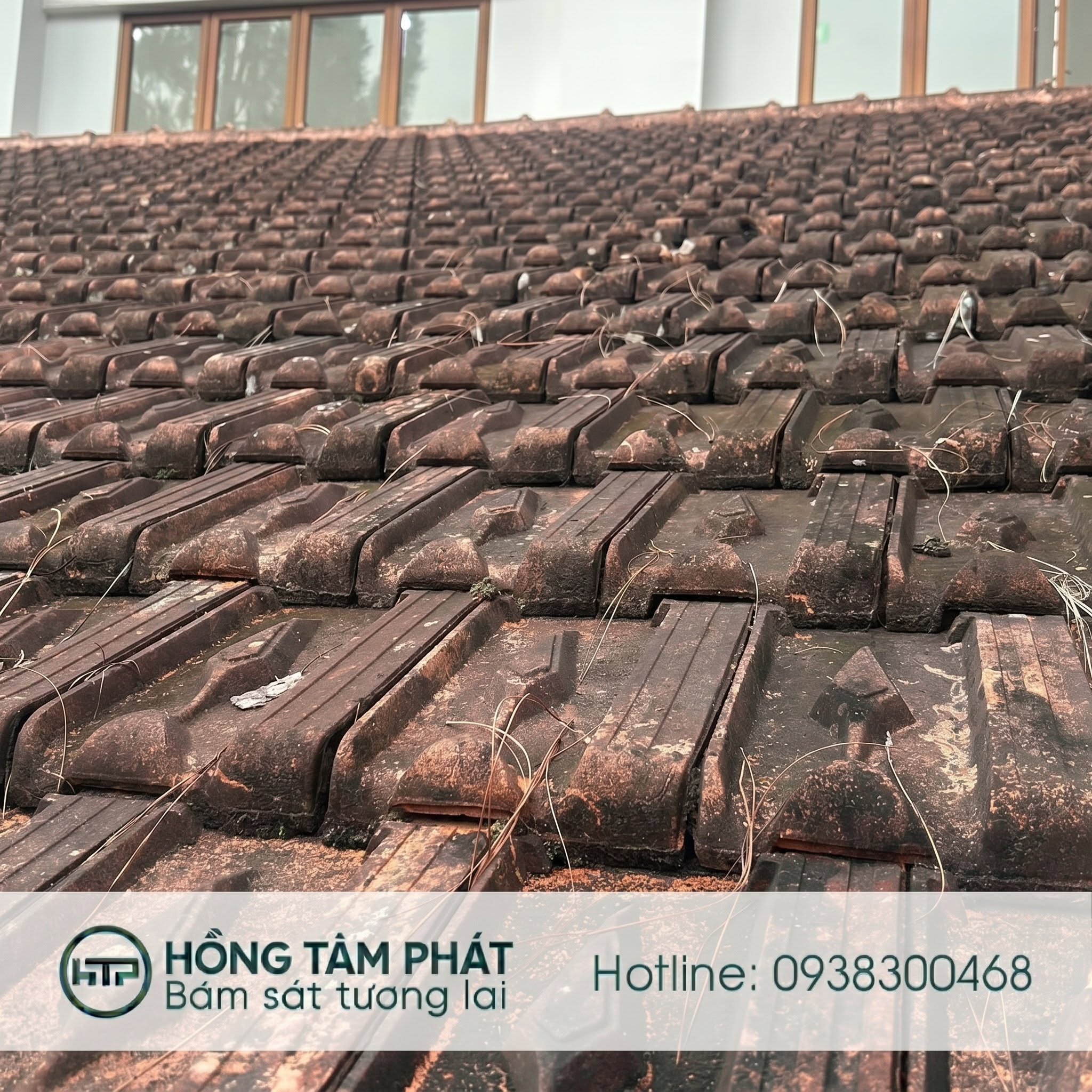 Hình ảnh mái ngói bị rêu mốc bám dày, bề mặt bạc màu và cũ kỹ do tác động của nắng mưa trong thời gian dài, làm giảm tính thẩm mỹ, ảnh hưởng đến độ bền và khả năng bảo vệ công trình của mái ngói
