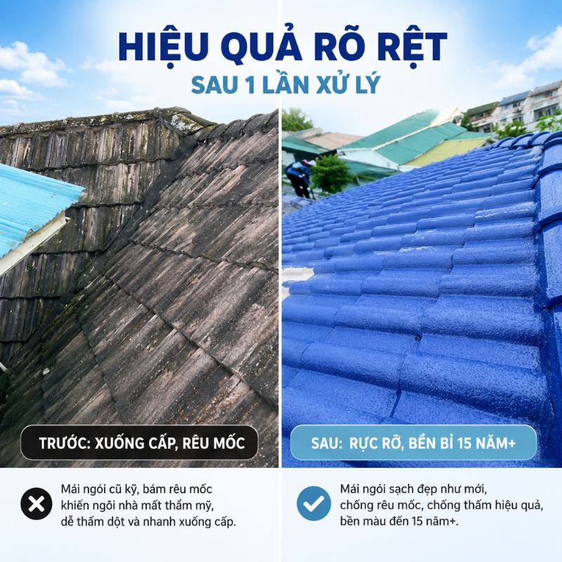 Chiến dịch 1.000 Mái Ngói - Điểm tô hạnh phúc cho mọi nhà.