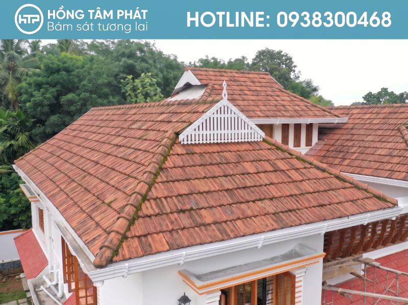 Hàng cây xanh rợp bóng che mát cho những mái ngói gần nhà tôi.