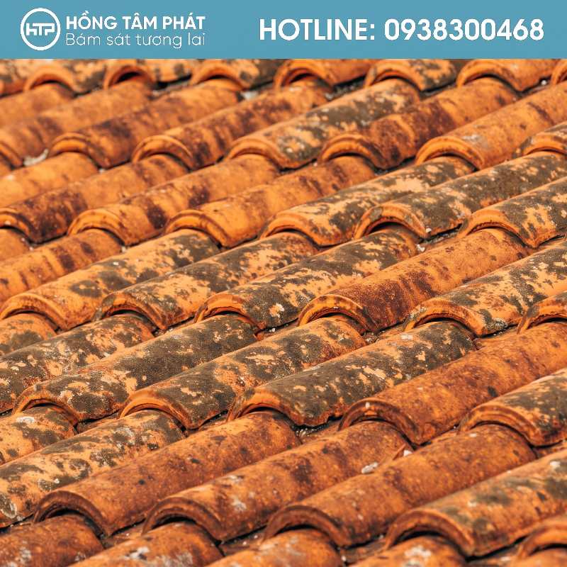 Kỹ thuật cao tại xưởng phục hồi ngói cũ, ngói cổ giúp ngói bền màu.