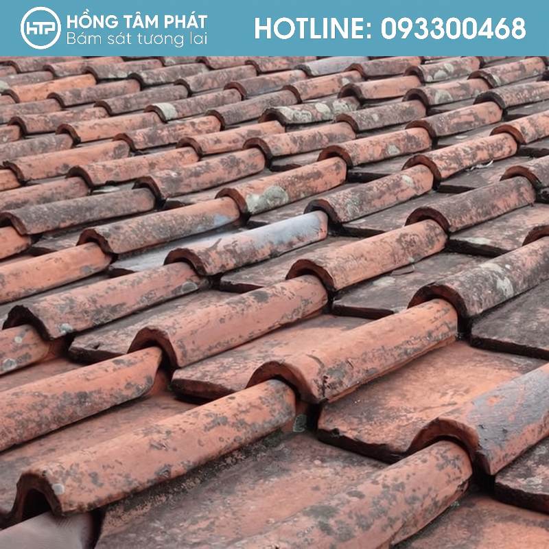 Hướng dẫn cách vệ sinh và sơn mái ngói cổ không làm hỏng ngói.