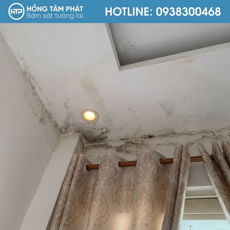 Chi phí thực tế sửa chữa và chống thấm dột mái ngói là bao nhiêu?