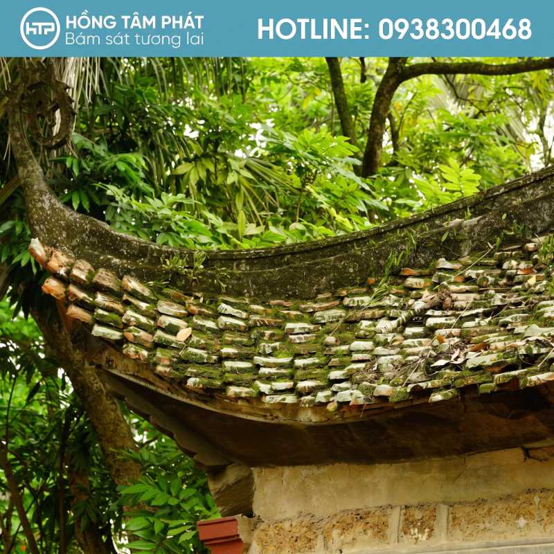 Chúng tôi nhận thu mua ngói cũ ngói cổ tại TP.HCM số lượng lớn.