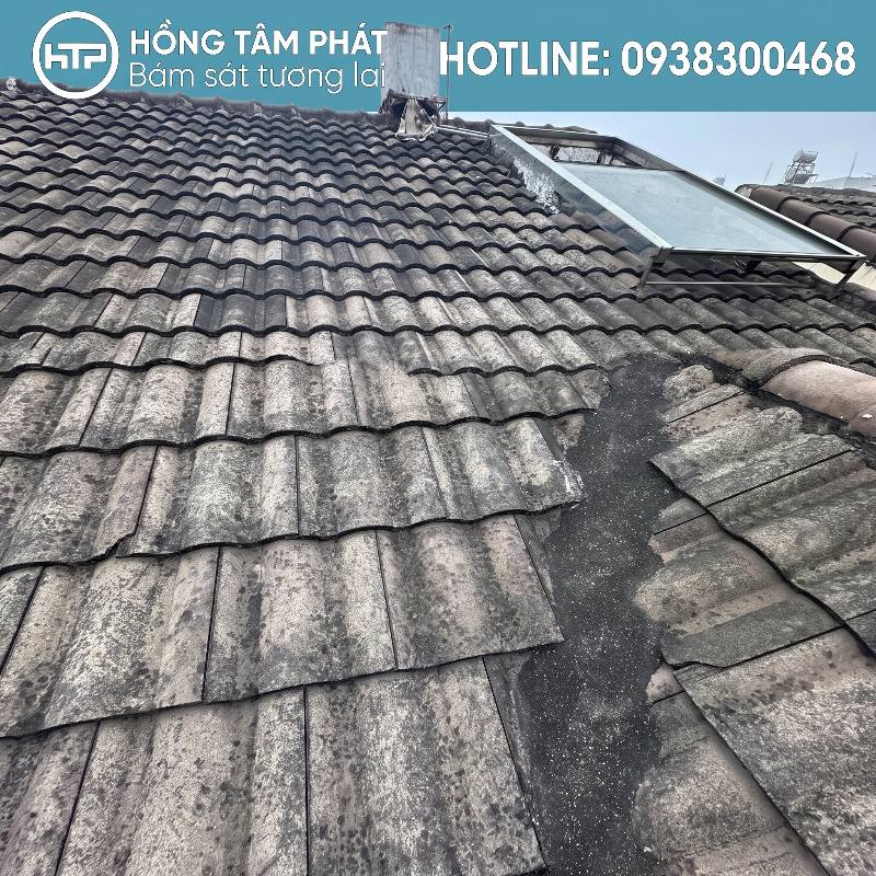 Vệ sinh xịt rửa áp lực cao – Đánh bay toàn bộ rêu mốc lâu năm.