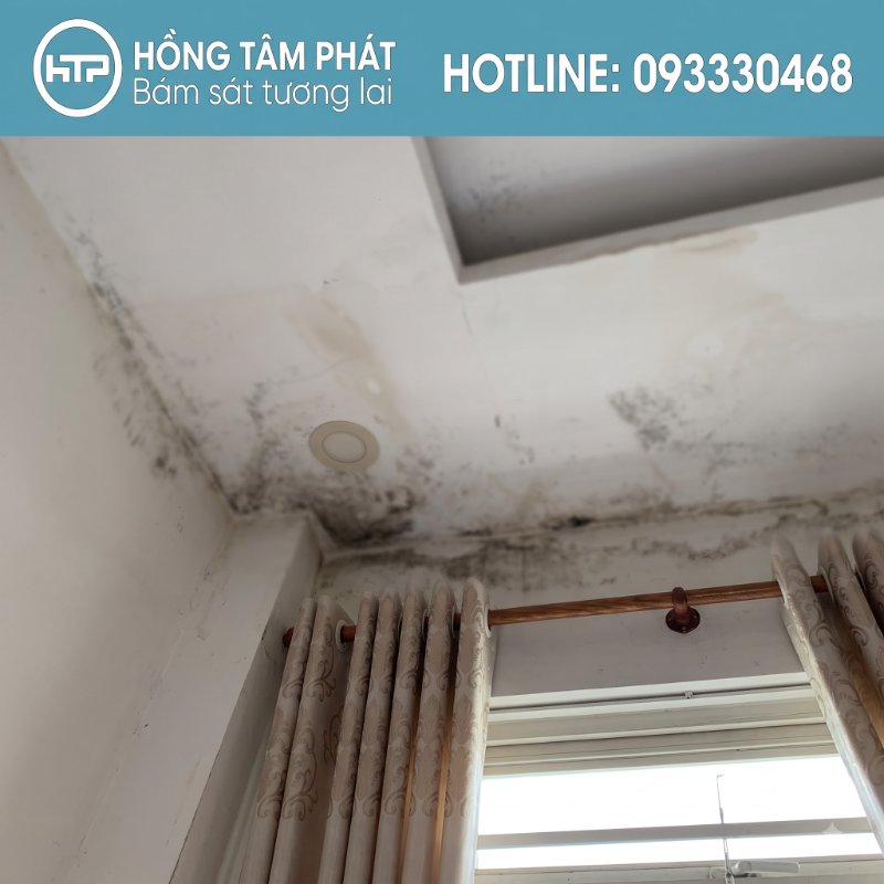 Mái ngói sau khi phục hồi – Bằng chứng cho giải pháp tối ưu