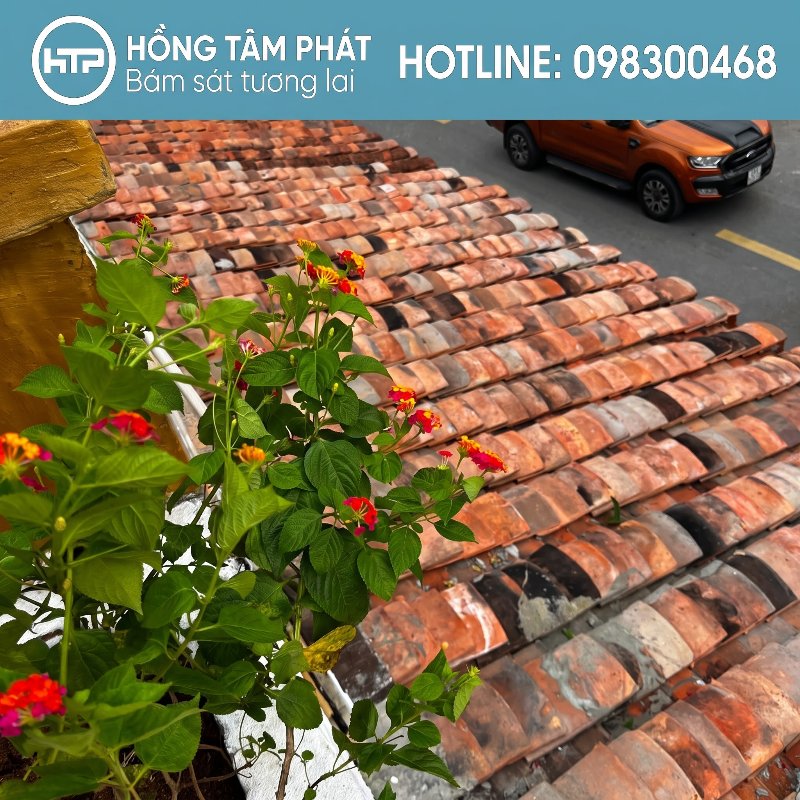 Đội ngũ chuyên tháo dỡ nhà cổ có ngói cẩn thận từng viên ngói.