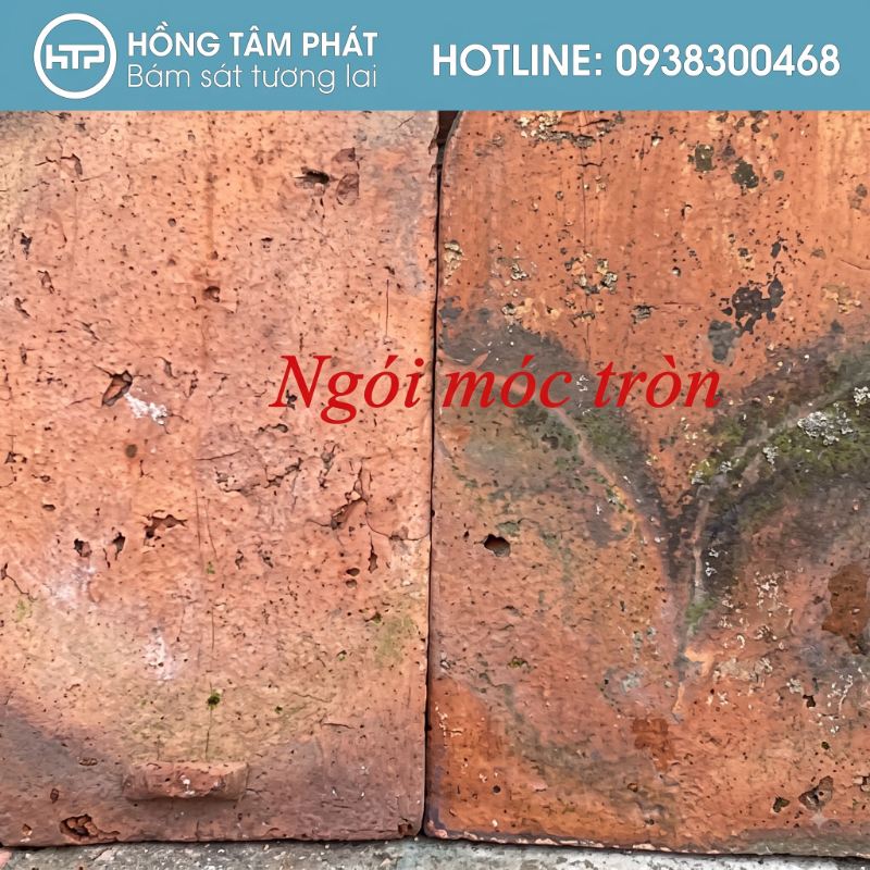 Lựa chọn dịch vụ bán ngói cũ, ngói cổ tại HCM để sửa chữa nhà.