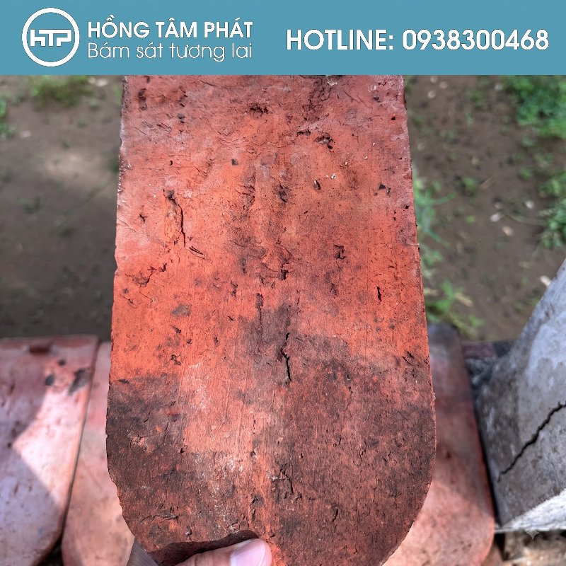 Những viên ngói vảy cá cũ mang đậm giá trị kiến trúc hoài niệm xưa.