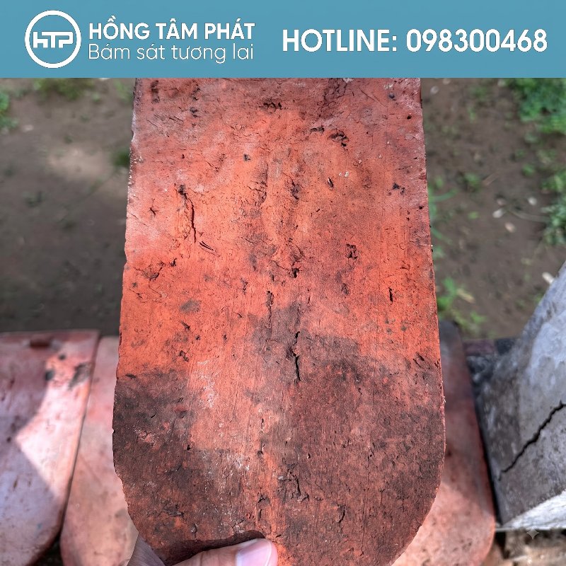 Quy trình làm sạch ngói vảy cá cũ đòi hỏi sự cẩn thận tỉ mỉ cao.
