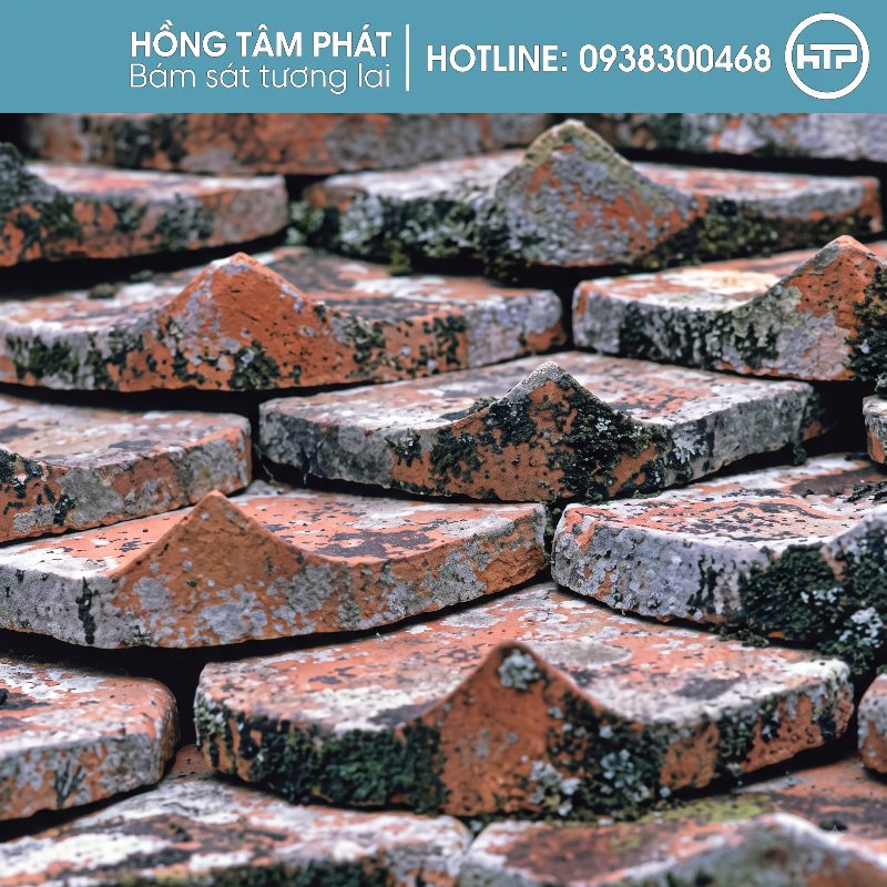 Dịch vụ b&aacute;n ng&oacute;i cũ, ng&oacute;i cổ tại HCM đ&aacute;p ứng nhu cầu gia chủ.