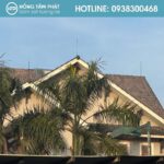 Dịch vụ sơn phủ Mái Ngói Biệt Thự Tại Củ Chi chuyên nghiệp HTP.