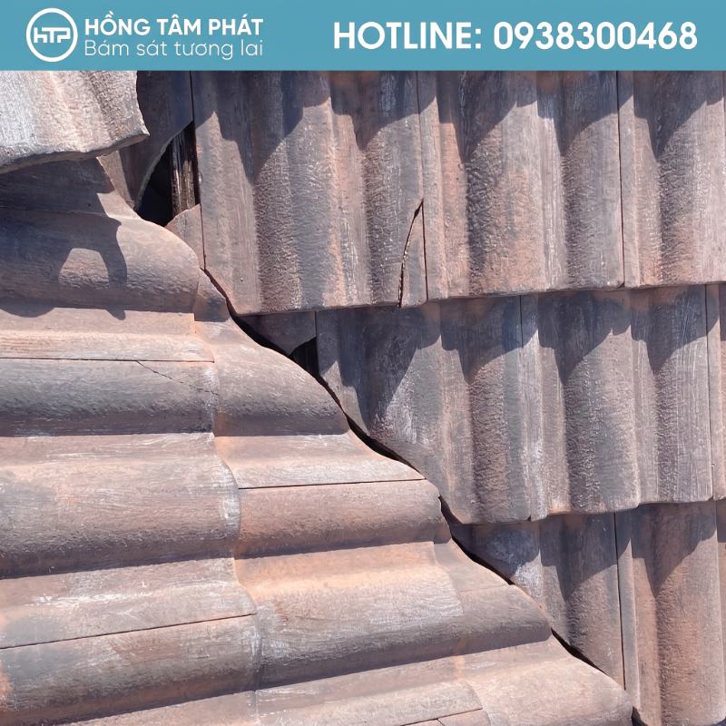 Hồng Tâm Phát nhận sơn Mái Ngói Biệt Thự Tại Quận 7 trọn gói.