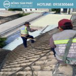 Hồng Tâm Phát triển khai Vệ Sinh Và Sơn Phục Hồi Mái Ngói Thủ Đức.