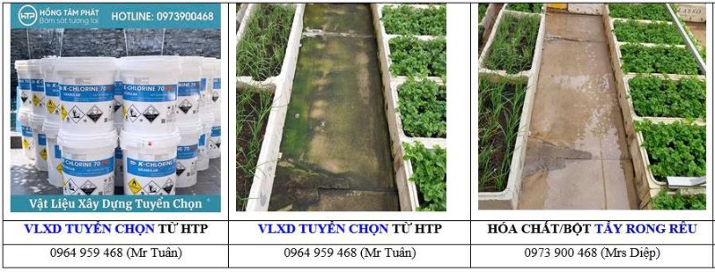 Tìm hiểu cách xử lý rong rêu đơn giản tại nhà giúp không gian luôn sạch đẹp, thoáng.