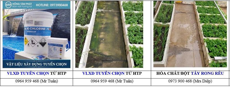 Tìm hiểu ngay hóa chất tẩy rong rêu là gì để bảo vệ tường nhà khỏi ẩm mốc.