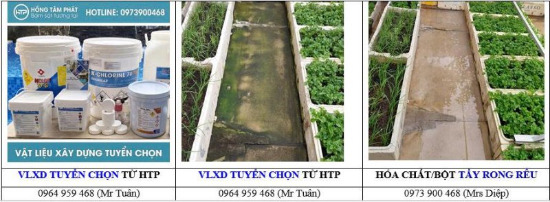 Giải pháp làm sạch rêu trên đá lát sân vườn chống trơn trượt hiệu quả trong mùa mưa.