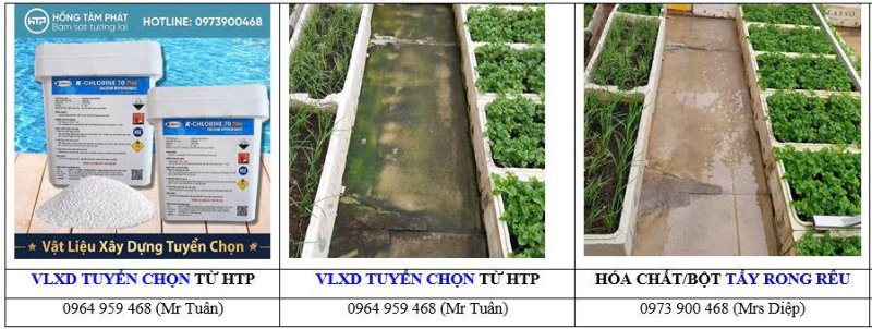 Giải pháp tẩy rêu bề mặt bê tông cực nhanh bằng dung dịch hóa chất chuyên dụng cao cấp.