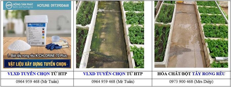 Tìm hiểu chi tiết hóa chất tẩy rong rêu giá bao nhiêu trước khi quyết định đầu tư.