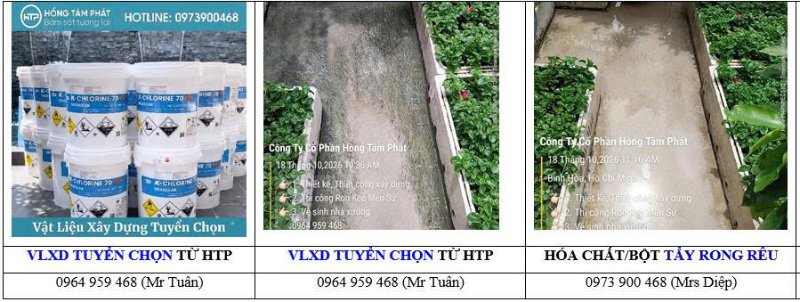 Hướng dẫn làm sạch rêu trên đá lát sân vườn bằng hóa chất an toàn, không làm bay màu.