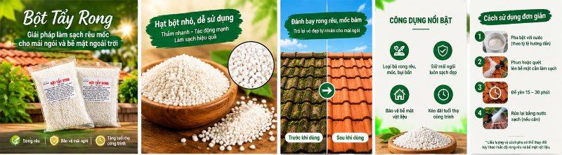 Giải pháp hóa chất tẩy rêu nhà xưởng loại bỏ triệt để ẩm mốc, trơn trượt hiệu quả.