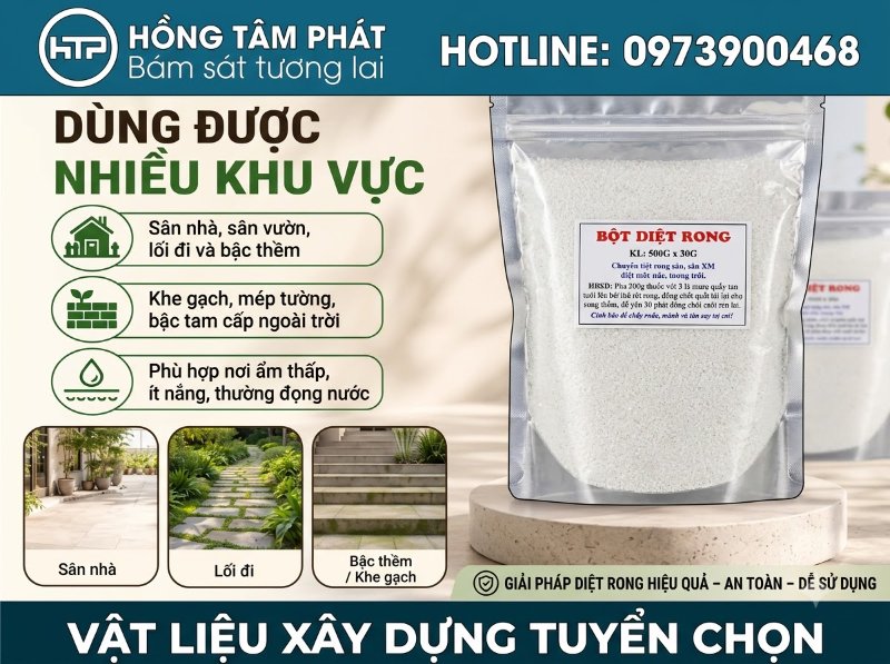 Tư vấn cách xử lý rong rêu trọn gói giúp tiết kiệm thời gian và công sức cho bạn.