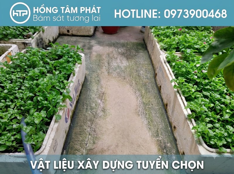 Thi công hiệu quả với thuốc tẩy rêu mốc giúp không gian sống luôn thoáng mát sạch