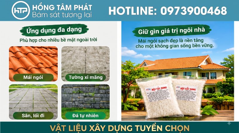 Tổng hợp các Sai Lầm Khi Tự Tẩy Rong Rêu Tại Nhà khiến nấm mốc tái phát nhanh.