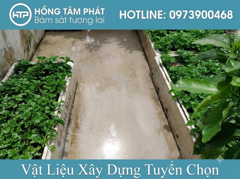 Bí quyết cách xử lý rong rêu trên đá lát sân vườn giúp bề mặt sáng bóng như mới.