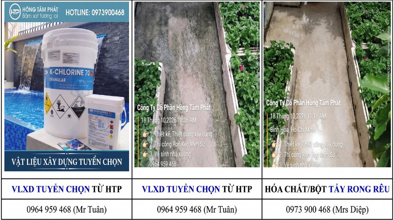 Chấp hành nghiêm ngặt an toàn khi sử dụng hóa chất tẩy rong rêu để đạt hiệu quả cao.