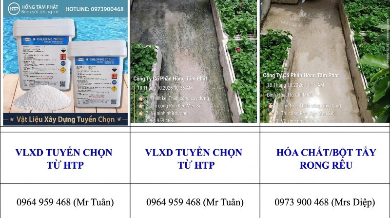 Cam kết hiệu quả dài lâu của dịch vụ xử lý rêu mốc sân, tường bảo hành chu đáo nhất.