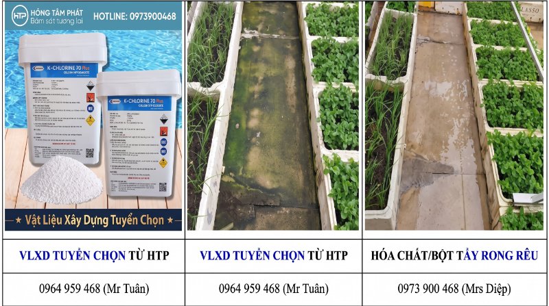 Đại lý cung cấp hóa chất tẩy rêu số lượng lớn với chính sách chiết khấu cực kỳ hấp dẫn.