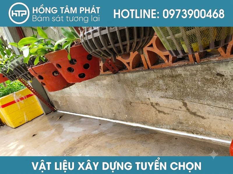 Giải pháp chống thấm và làm sạch rong rêu trên tường nhà trọn gói giá tốt nhất.