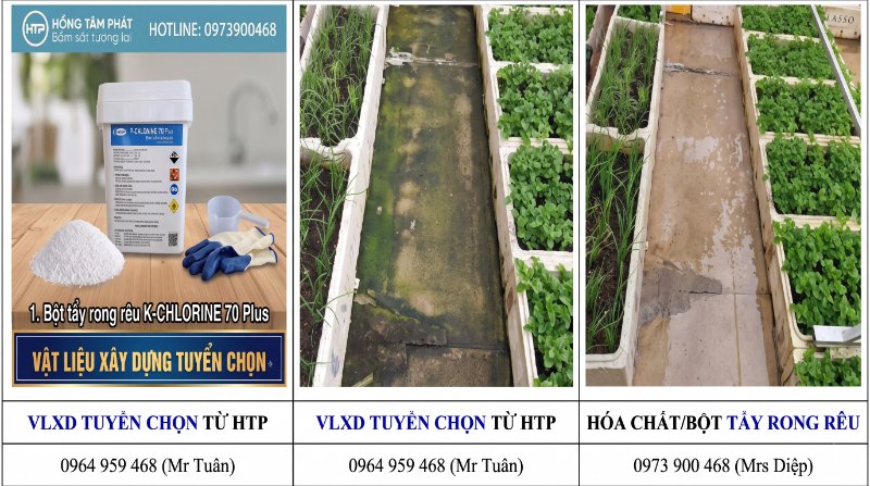Cung cấp sỉ lẻ hóa chất tẩy rêu cho nhà xưởng giá tốt cho các đơn vị dịch vụ vệ sinh.