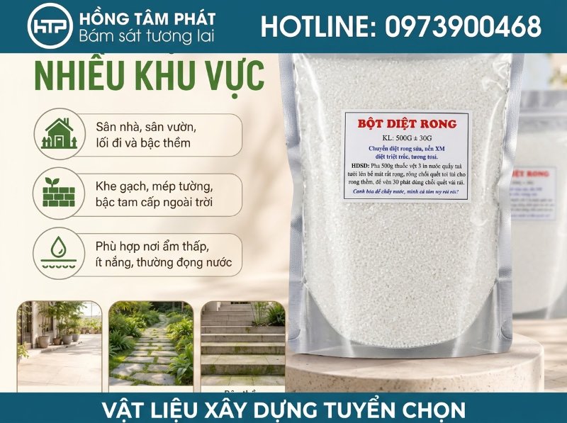 Hướng dẫn chi tiết cách làm sạch rong rêu giúp không gian sống luôn sạch sẽ, thoáng.