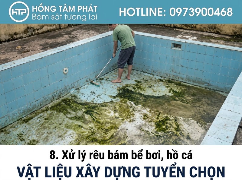 Tẩy sạch mọi vết rêu xanh bám lâu ngày nhờ sử dụng thuốc tẩy rêu mốc cao cấp.
