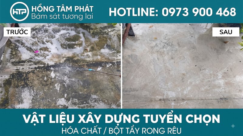 Lựa chọn bột tẩy rong rêu và dung dịch tẩy rêu phù hợp cho từng bề mặt vật liệu xây.