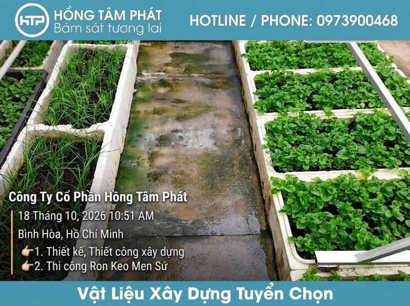 Đánh bay vết ố vàng và rêu mốc lâu năm nhờ dòng bột tẩy rong rêu chất lượng cao.