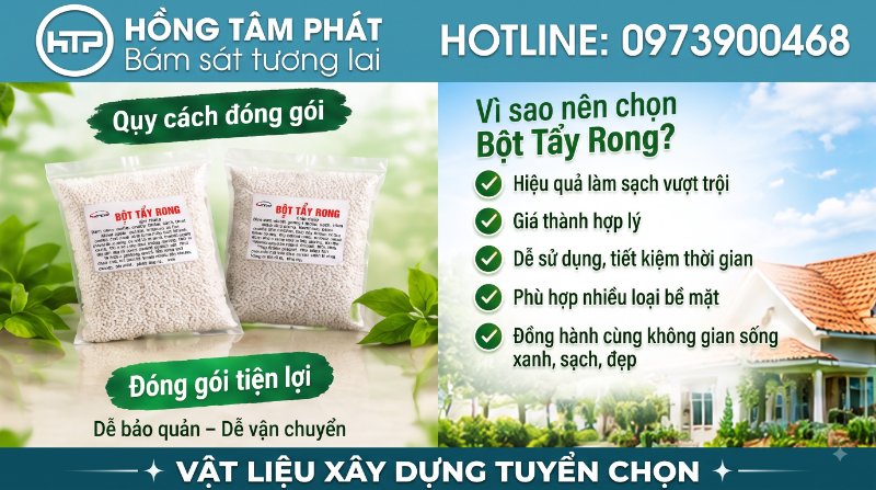 Tiết kiệm thời gian với 7 bước tẩy rong rêu khoa học dành cho tường nhà và sân vườn.