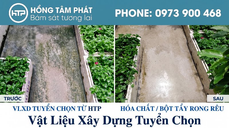 Nhận biết sai lầm thường gặp khi tự tẩy rong rêu giúp bạn vệ sinh an toàn, hiệu quả.