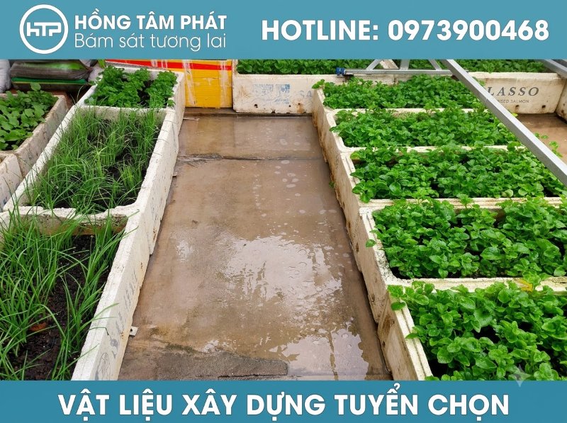 Hướng dẫn cách pha chế và sử dụng bột tẩy rong rêu đúng kỹ thuật, an toàn nhất.