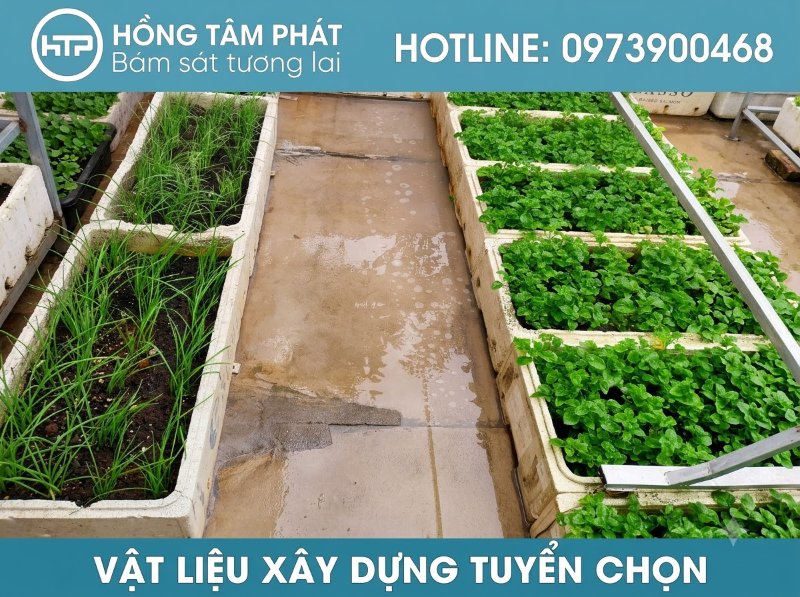 Bí quyết tẩy rêu bề mặt bê tông chống trơn trượt cực tốt trong mùa mưa bão năm nay.