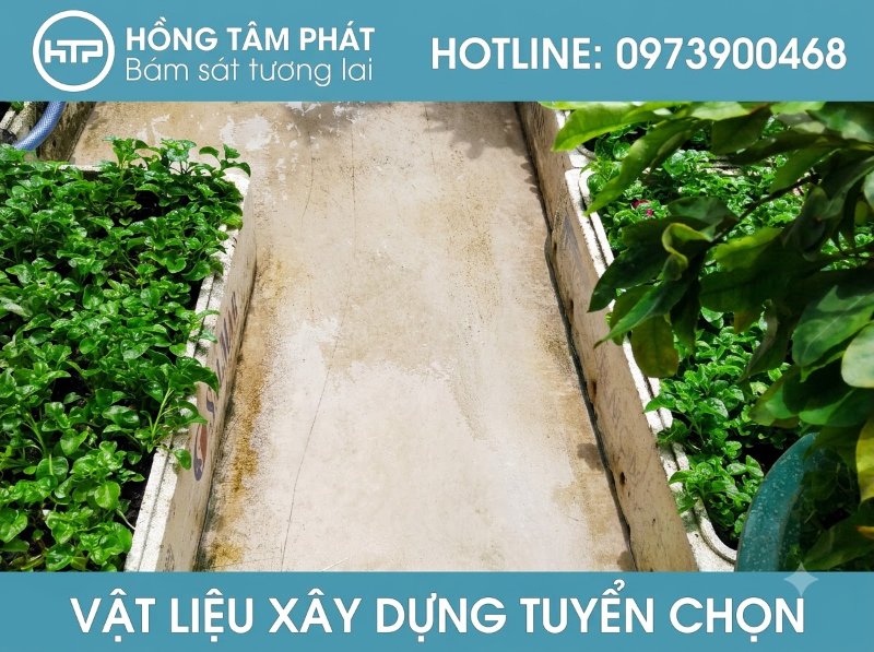 Phân phối thuốc tẩy rêu mốc chính hãng, giá cạnh tranh cho các dịch vụ vệ sinh.