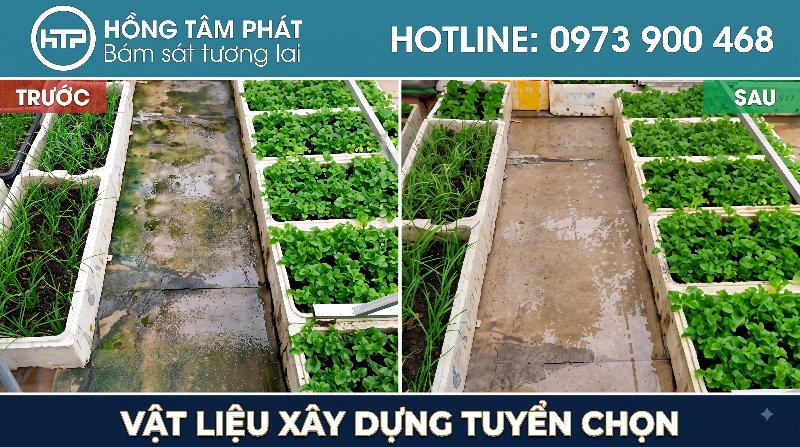 Dịch vụ cung cấp hóa chất tẩy rêu trọn gói kèm tư vấn kỹ thuật sử dụng chi tiết.